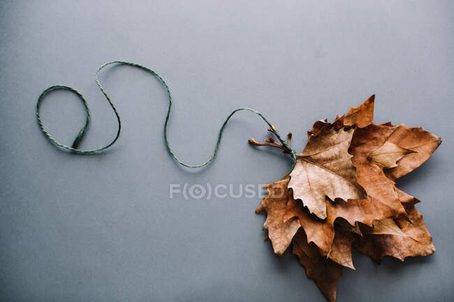 Bunch of bright dry maple leaves tied together with rope composed in shape of balloon on gray background — Stock Photo