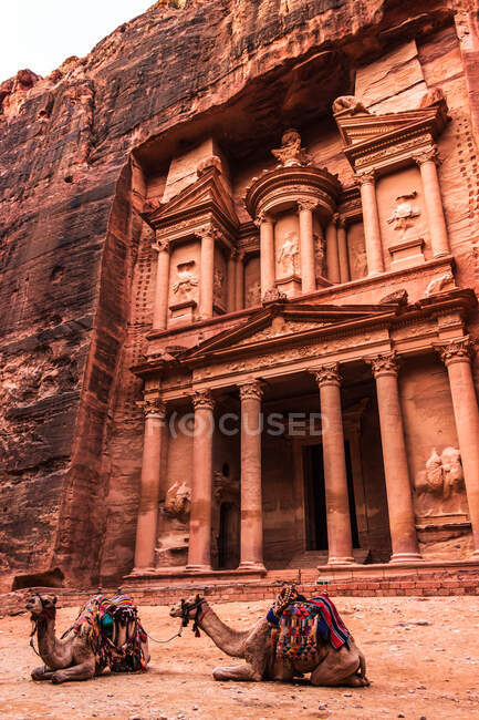 Von unten warten zwei Kamele auf Touristen, die auf felsigem, trockenem Boden an der Außenseite des berühmten alten Steingebäudes mit Säulen liegen — Stockfoto