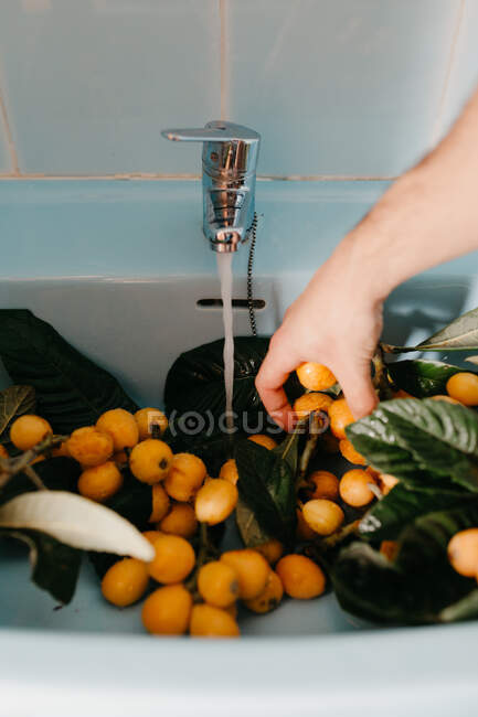 Mano femenina y fruta de níspero en ramas con hojas verdes en el fregadero con agua que fluye de la grúa - foto de stock