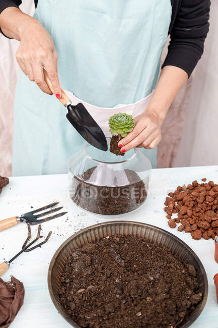 Faceless gardener standing at table and planting succulent in soil in glass flowerpot — Stock Photo