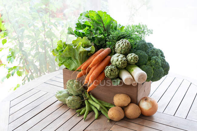 From above of harvest of various ripe vegetables placed in wooden box in garden — Stock Photo