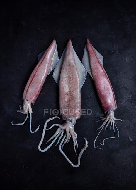 De arriba de la carne cruda de los calamares puestos a la mesa negra sobre el fondo negro en el estudio - foto de stock