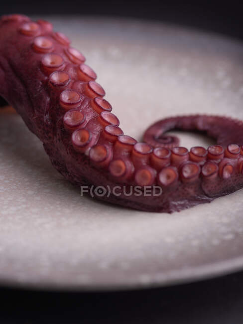 Longo tentáculo de polvo cru colocado no prato na mesa preta no restaurante de luxo — Fotografia de Stock