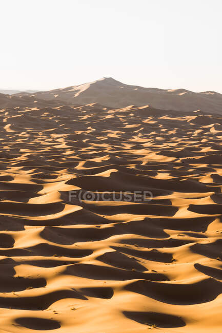 Drone vista de paisagem espetacular do deserto com dunas de areia no dia ensolarado em Marrocos — Fotografia de Stock