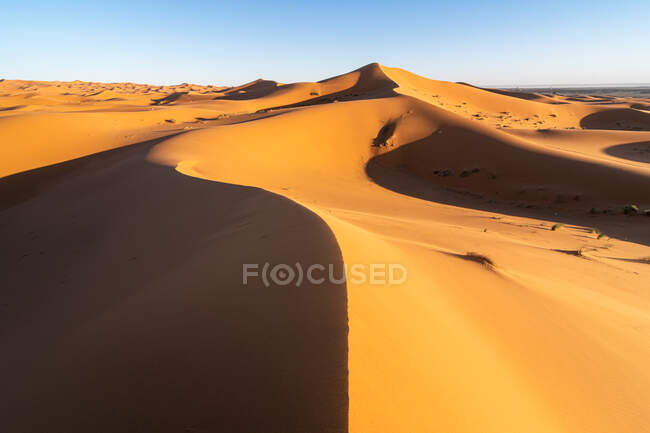 Paesaggio desertico minimalista con dune sabbiose e cielo azzurro chiaro in Marocco — Foto stock