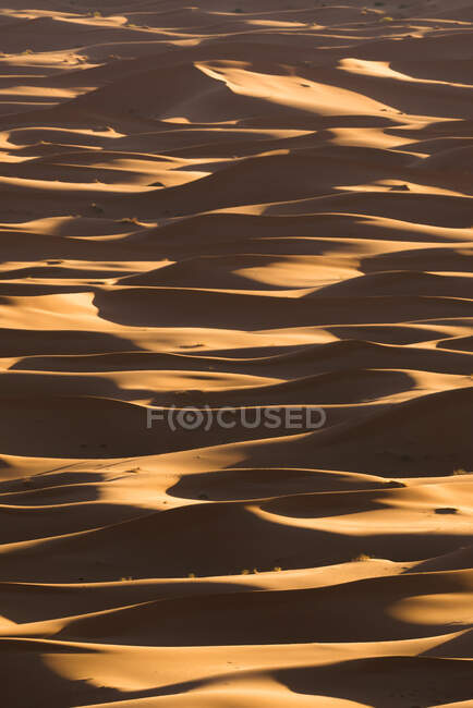 Minimalistic desert landscape with sandy dunes in Morocco — Stock Photo