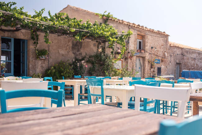 Mesas de madera en composición con sillas blancas y azules en la terraza de la cafetería contra los exteriores de edificios antiguos decoradas flores en maceta y la vid verde escalada en el día soleado - foto de stock