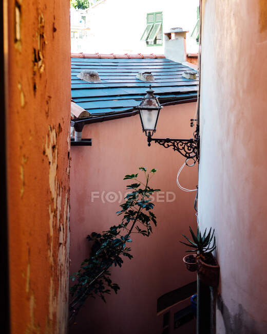 Stretta strada cittadina con case in pietra squallida e piante verdi nella giornata di sole — Foto stock