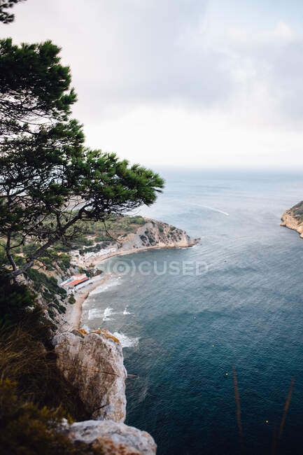 Aerial view of rocky coastline with pine tree growing under sea bay with calm blue water against cloudy sky and horizon in light haze at daytime — Stock Photo