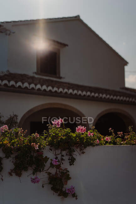 Casa com arcos e paredes de concreto branco decorado com plantas rastejantes e flores rosa florescendo à noite sob céu nublado e raio de sol — Fotografia de Stock