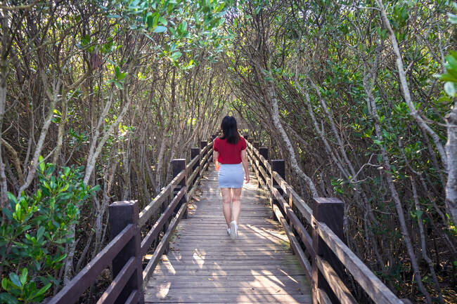 Von hinten eine junge Touristin, die an einem sonnigen Tag auf einer schmalen, von Wald umgebenen Holzbrücke spaziert — Stockfoto