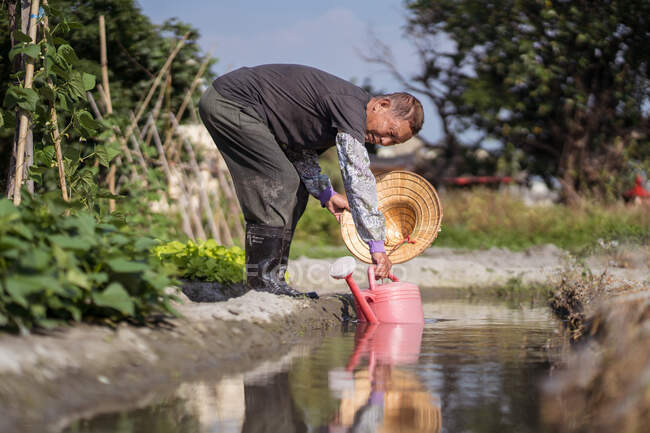 Вид сфокусированного азиатского мужчины в грязной одежде с восточной соломенной шляпой, наполняющей пластиковый горшок для полива растений, стоя рядом с узким ручьем на ферме в Тайване — стоковое фото