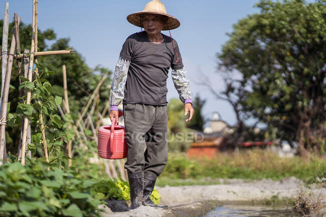 Азиатский мужчина в грязной одежде с восточной соломенной шляпой, наполняющей пластиковый горшок для полива растений, стоя рядом с узким ручьем на ферме в Тайване — стоковое фото