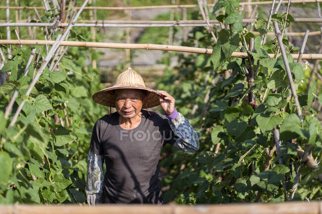 Älterer asiatischer Mann mit traditionellem orientalischem konischen Hut und lässiger Kleidung lächelt weg gegen verschwommene grüne Pflanzen, die an heißen, sonnigen Tagen in Taiwan auf einem Bauernhof wachsen — Stockfoto