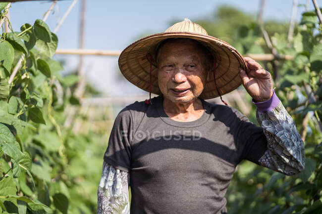 Homme asiatique senior en chapeau conique oriental traditionnel et vêtements décontractés souriant contre les plantes vertes floues qui poussent à la ferme par une chaude journée ensoleillée à Taiwan — Photo de stock