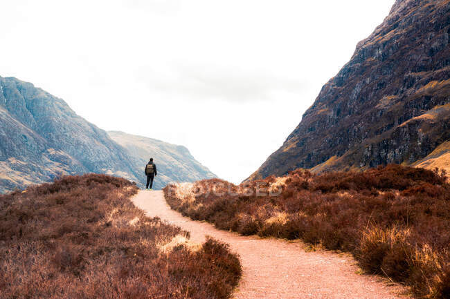 Задний вид неузнаваемого туриста с рюкзаком, стоящим на тропе, ведущей через холмы с сухой травой и любующимся видом на горы против облачного неба в Шотландском нагорье — стоковое фото