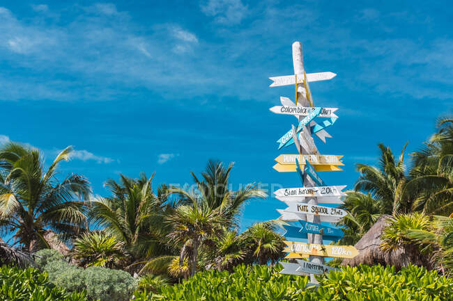 Деревянный столб с красочной вывеской, показывающей направления в страны мира в зеленых пальмах побережья Мексики — стоковое фото