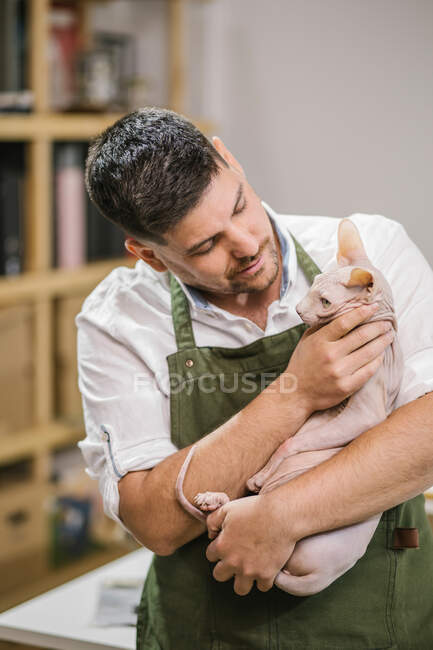 Kunsthandwerker in weißem Hemd und grüner Schürze, während er im modernen Atelier die ruhige Sphynx-Katze auf Händen trägt — Stockfoto