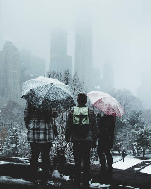 Visão traseira de amigos irreconhecíveis que estão sob guarda-chuvas na rua no dia de inverno durante a queda de neve e admirando a paisagem urbana com skylines — Fotografia de Stock