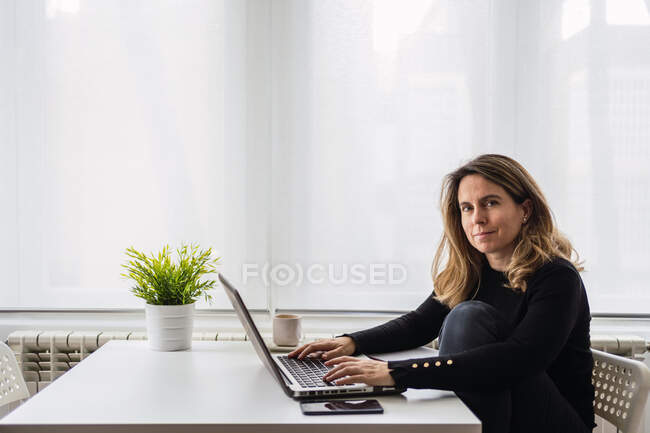 Seitenansicht einer fokussierten Spezialistin für Freizeitbekleidung, die mit elektronischen Dokumenten am Laptop arbeitet, während sie am Tisch neben dem Fenster in einem modernen Raum zu Hause sitzt — Stockfoto