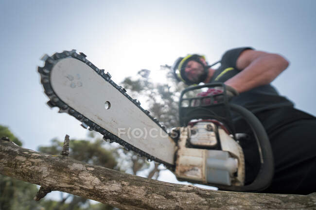 Desde abajo de bombero de pie en el bosque y cortar madera con motosierra en día soleado - foto de stock