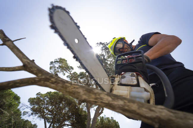 Von unten steht ein Feuerwehrmann im Wald und schneidet an sonnigen Tagen mit der Kettensäge Holz — Stockfoto