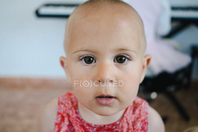 From above portrait adorable curious bold little girl standing looking at camera — Stock Photo