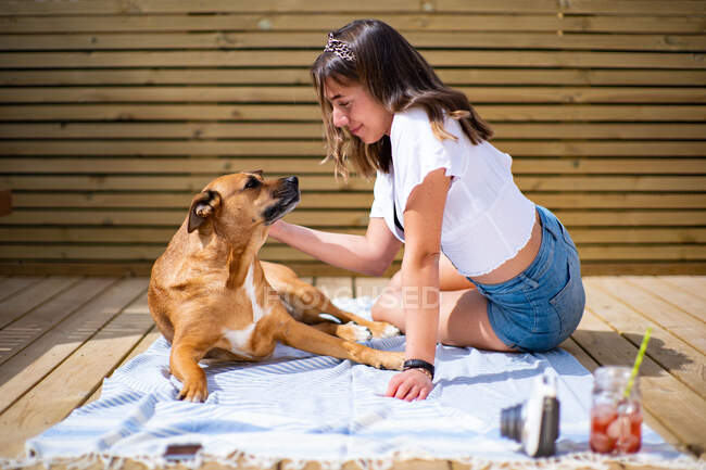 Vista lateral de la joven hembra positiva en camisa casual y pantalones cortos vaqueros sentados con lindo perro acostado cerca blanco descansando en la terraza soleada en el día de verano - foto de stock