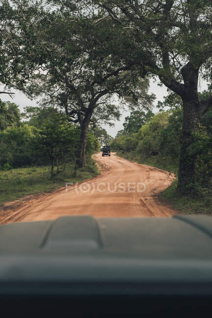 Safari parque camino de tierra con el coche delante visto desde el coche - foto de stock