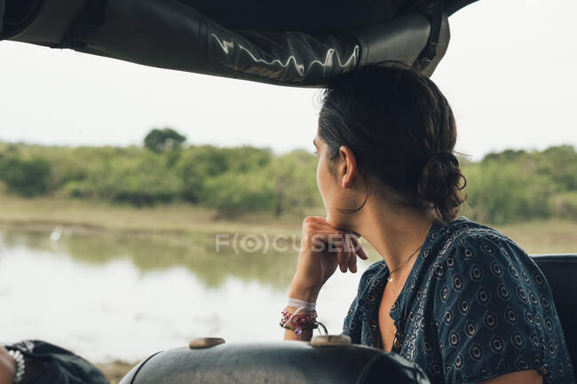 Back view of unrecognizable traveling female sitting in automobile and admiring wonderful view of wildlife park — Stock Photo
