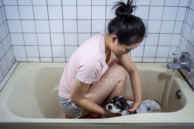 Side view ethnic Asian female owner sitting in bathtub and washing cute Cocker Spaniel puppy at home — Stock Photo