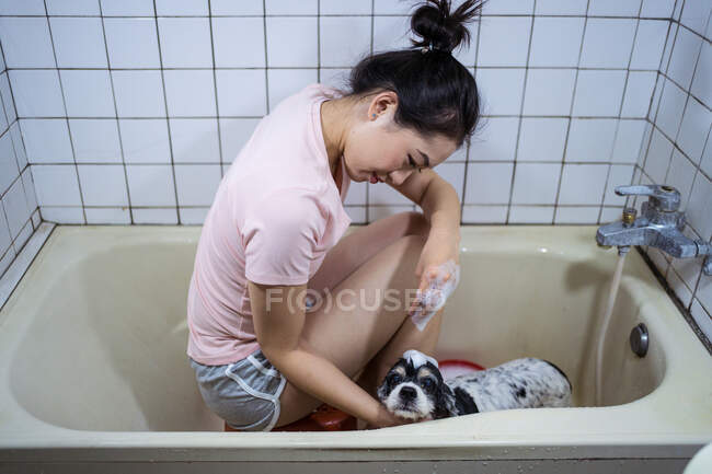 Vue de côté ethnique asiatique propriétaire femelle assis dans la baignoire et le lavage mignon Cocker Spaniel chiot à la maison — Photo de stock