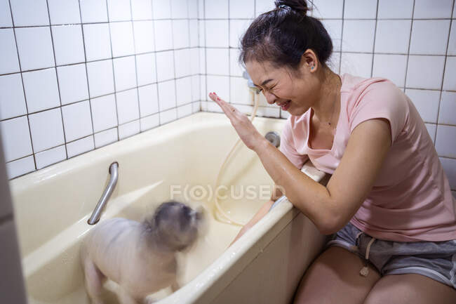 Young ethnic woman protecting face from splashing water while wet dog shaking in bathtub during home bath procedure — Stock Photo