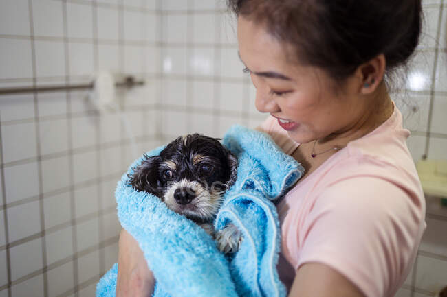 Милый мокрый кокер-спаниель щенок завернутый в синее полотенце и удерживаемый улыбающейся азиатской владелицей после купания в домашней ванной — стоковое фото