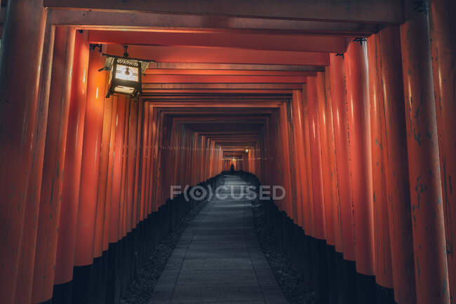 Fushimi Inari Taisha com caminho de pedra cercado por portões Torii vermelhos e iluminado por lanterna tradicional com pessoa distante irreconhecível — Fotografia de Stock