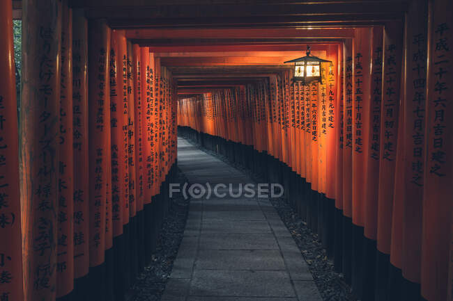 Fushimi Inari Taisha com caminho de pedra cercado por portões Torii vermelhos e iluminado por lanterna tradicional — Fotografia de Stock