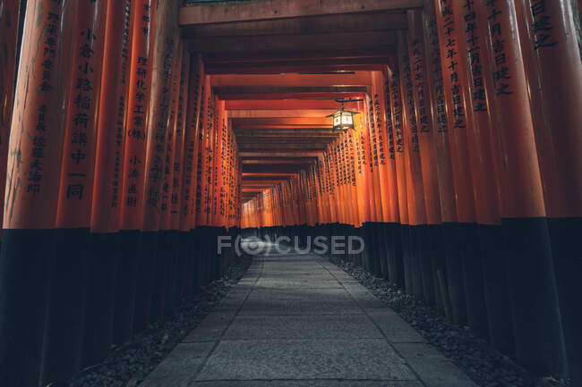 Fushimi Inari Taisha con camino de piedra rodeado de puertas rojas Torii e iluminado por la linterna tradicional - foto de stock