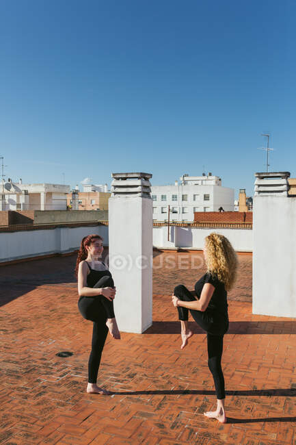 Mujeres practicando equilibrio yoga posan en la azotea - foto de stock