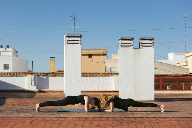 Vista lateral de mujeres en forma enfocada en ropa deportiva negra realizando la pose Delfín Plank o Antebrazo Plank durante la práctica de yoga en pareja en la terraza de la azotea en un día soleado en la ciudad - foto de stock