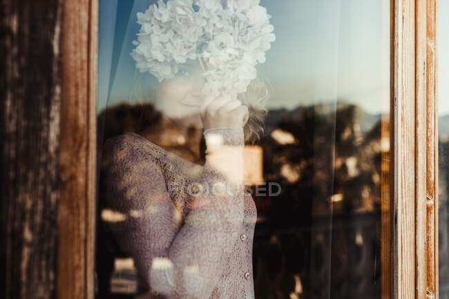 Усміхнена жінка в затишному одязі, що стоїть біля вікна і закриває обличчя квітка гортензії, дивлячись на камеру — стокове фото