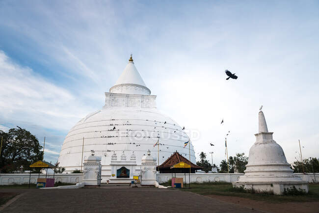 Fachada blanca de la estupa de Tissamaharama Raja Maha Vihara contra el cielo azul con aves volando en Sri Lanka - foto de stock