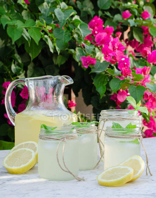Glasgefäß mit frischer kalter Limonade auf Marmortisch mit Zitronenscheiben im Sommergarten mit blühenden Pflanzen im Hintergrund — Stockfoto