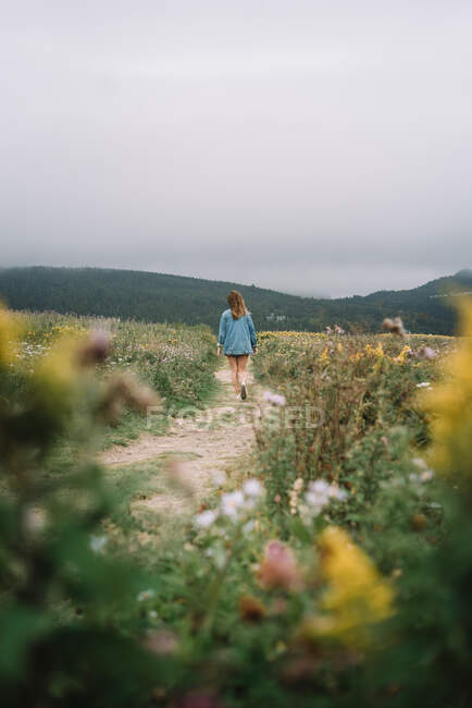 Неузнаваемая женщина в летнюю одежду ходить по песчаной дорожке между лугами с цветами в пасмурный день — стоковое фото
