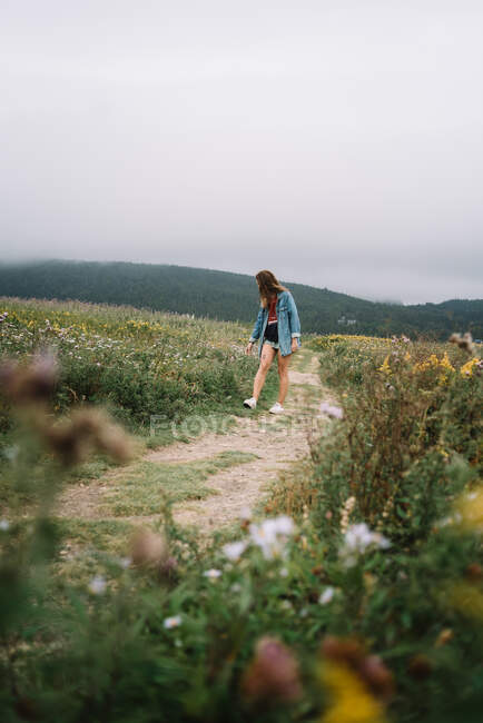 Неузнаваемая женщина в летнюю одежду ходить по песчаной дорожке между лугами с цветами в пасмурный день — стоковое фото