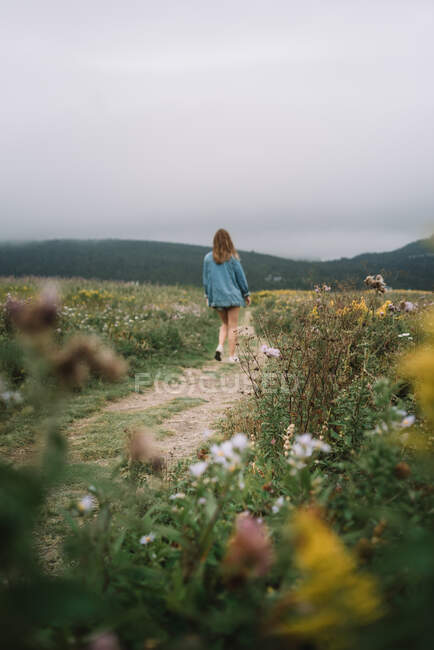 Невпізнавана жінка в літньому одязі, що йде піщаною стежкою між луками з квітами в похмурий день — стокове фото
