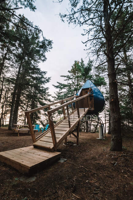 Niedriger Winkel der entspannten weiblichen Camper steht auf Holzplattform in der Nähe zeitgenössischer Zeltlager im Wald während des Urlaubs — Stockfoto