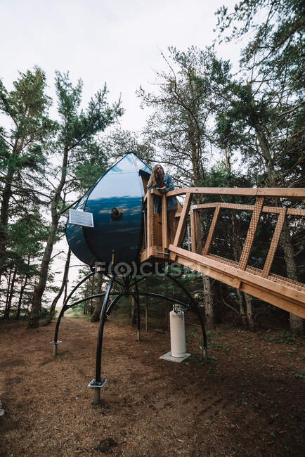 Низкий угол расслабленного женского кемпера, стоящего на деревянной платформе возле современного кемпинга в лесу во время отдыха — стоковое фото