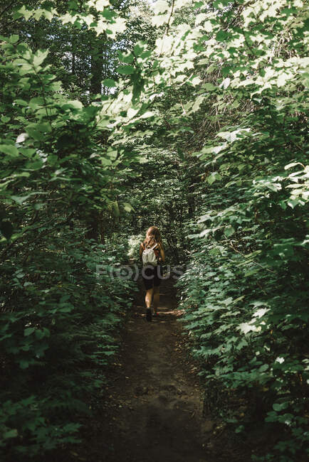 Женщина с рюкзаком гуляет в лесу и наслаждается погодой в зеленом лесу Национального парка Ла-Мориси в Квебеке, Канада — стоковое фото