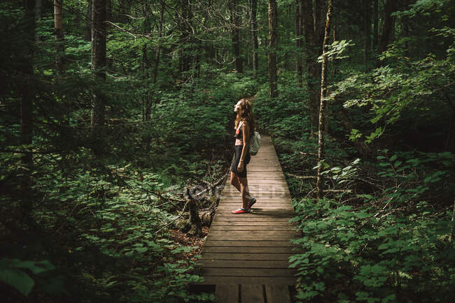 Vista lateral de la mujer con mochila de pie en camino de madera y disfrutando del clima en el verde bosque del Parque Nacional La Mauricie en Quebec, Canadá - foto de stock