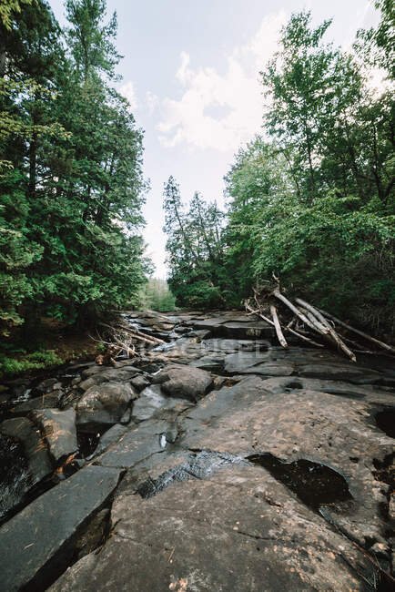 Ruscello di fiume di montagna che scorre attraverso la foresta nel Parco Nazionale La Mauricie in Quebec, Canada — Foto stock